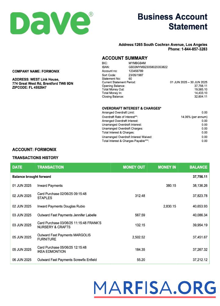 Printable USA Dave firm checking account statement Word and PDF template